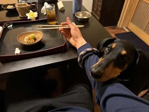 「くれ」 「くれ」
