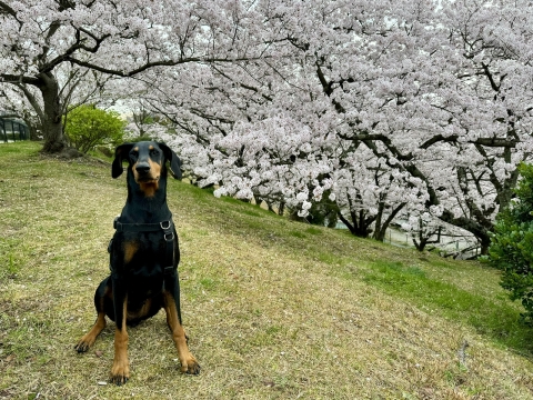 今朝の一コマ 今朝の一コマ