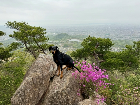 観音山頂にて 小雨が降り始めた 観音山頂にて 小雨が降り始めた