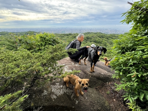小さなお友達と絶景ハンティング 小さなお友達と絶景ハンティング