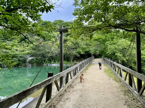 池はエメラルドグリーン 池はエメラルドグリーン