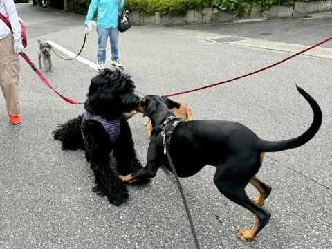 お友達と遊ぶ お友達と遊ぶ