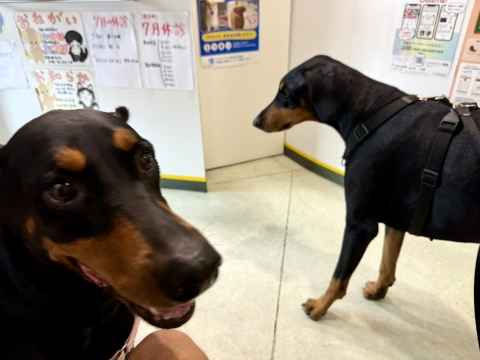かわええな〜 かわええな〜