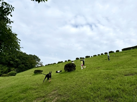 最後に皆と会って一走り 最後に皆と会って一走り