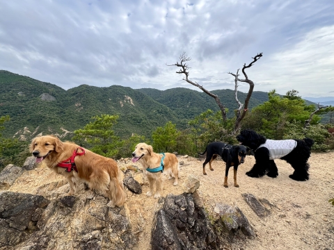 このメンバーで山 このメンバーで山