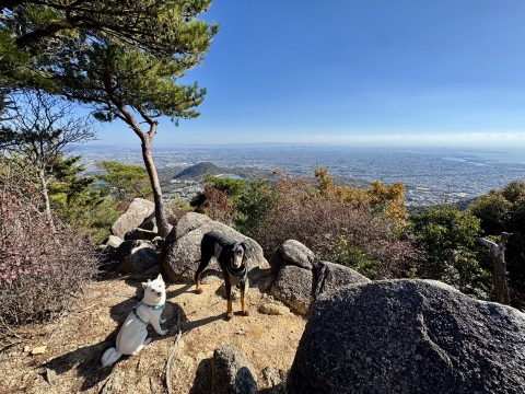 無垢と観音山 無垢と観音山