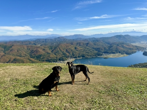 木崎湖を見下ろす絶景スポットでモモコと 木崎湖を見下ろす絶景スポットでモモコと
