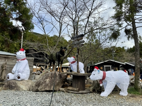 GRCもクリスマスの装い GRCもクリスマスの装い