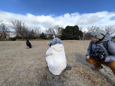 はてさてどうなることか はてさてどうなることか