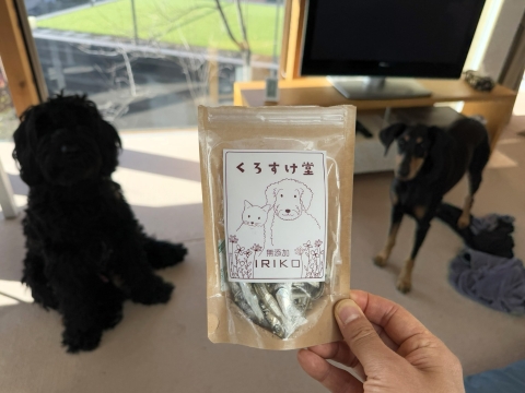 くろすけ堂の看板犬を招いて くろすけ堂の看板犬を招いて
