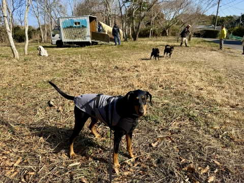 淡路島の動物たちの楽園へ 淡路島の動物たちの楽園へ