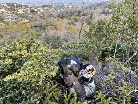 マグと山へ マグと山へ