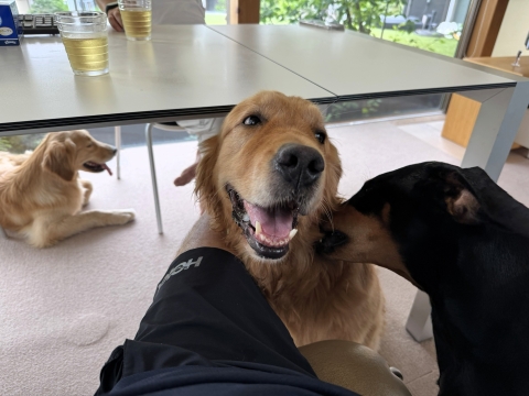 嬉しいお客犬あり 嬉しいお客犬あり