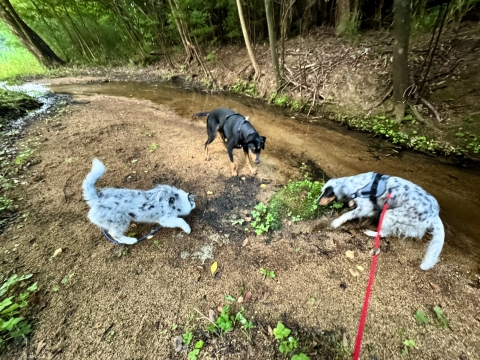 こちらもニューカマーを交え こちらもニューカマーを交え