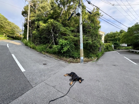 そこで寝るな そこで寝るな
