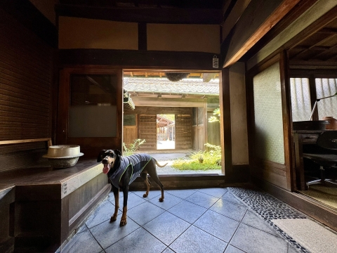 二上山の麓にある古民家にお邪魔した 二上山の麓にある古民家にお邪魔した