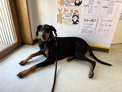 さあ帰ろうか さあ帰ろうか