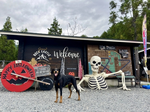 GRCはすっかりハロウィンの装い GRCはすっかりハロウィンの装い