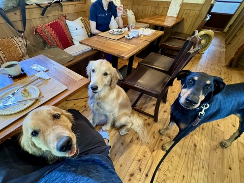 ナラ&ティナとベーグルモーニング ナラ&ティナとベーグルモーニング