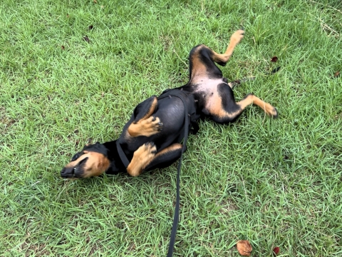 今朝の一コマ 今朝の一コマ