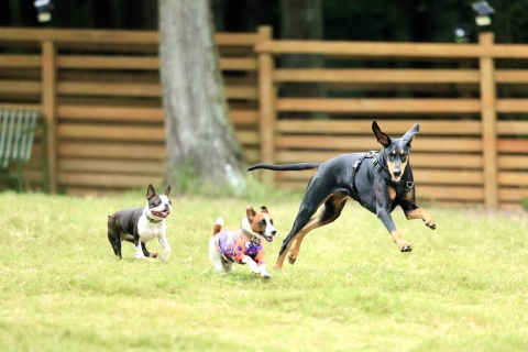 まるまるフォト 井上浩一さん撮影の写真 まるまるフォト 井上浩一さん撮影の写真