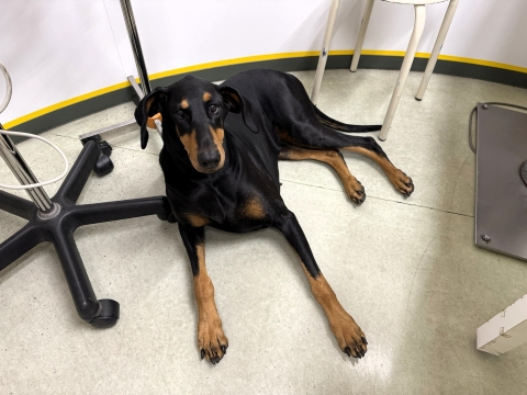 診察室の片隅で 診察室の片隅で