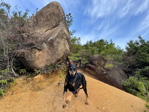 巨岩を背に走る 巨岩を背に走る