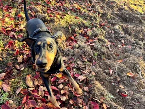 �W�����v