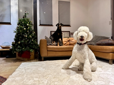 �W���[��