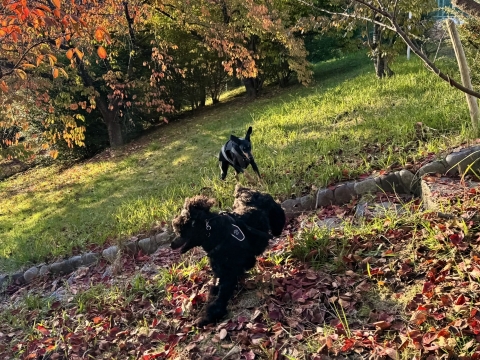 �W������