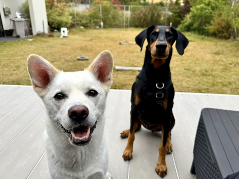 �����낤��