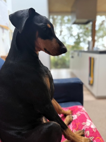 シッティング中の一コマ シッティング中の一コマ