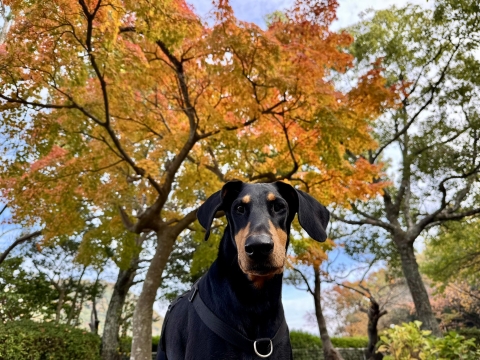 北山ダムにて 北山ダムにて