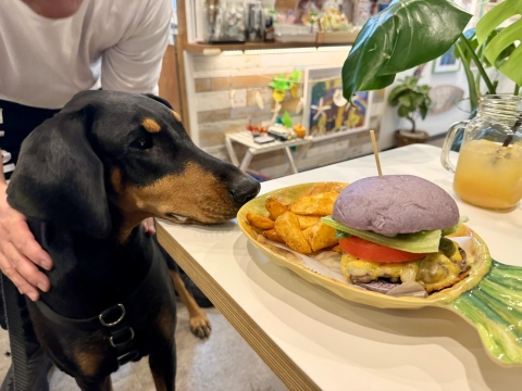 ハンバーガー ハンバーガー