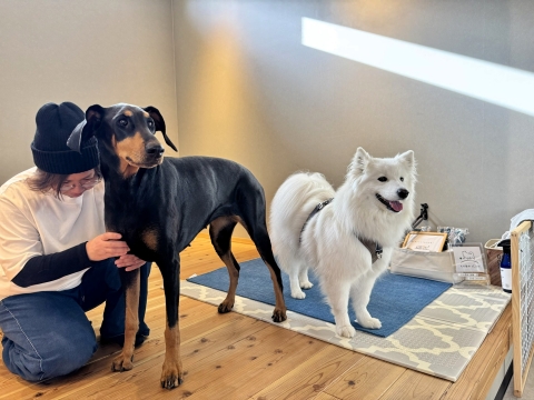 aLukeの整体を受けてみる aLukeの整体を受けてみる