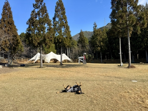 年末のGRC 年末のGRC