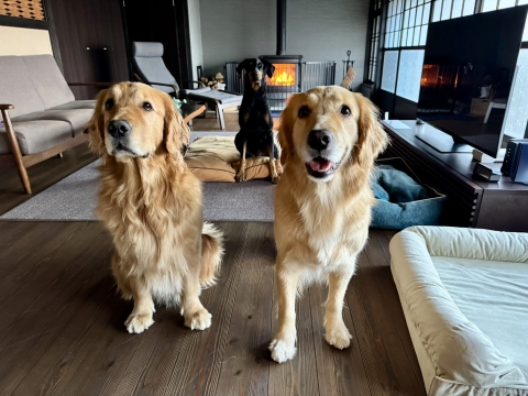 ナラ&ティナとベネポルティア ナラ&ティナとベネポルティア