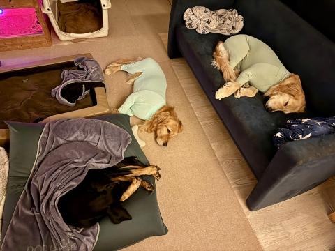 ナラ&ティナがお泊まり ナラ&ティナがお泊まり