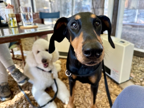 ジローと森の農 ジローと森の農