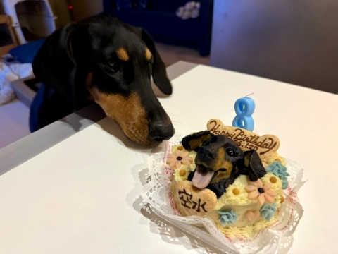 「早くくれ」 「早くくれ」