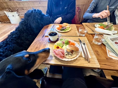 くろすけとウサギベーグル くろすけとウサギベーグル