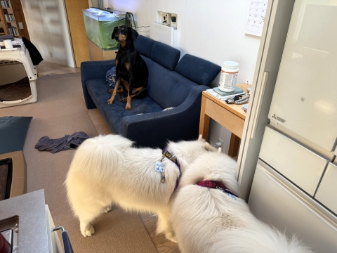 サニー&ルイ来訪 サニー&ルイ来訪