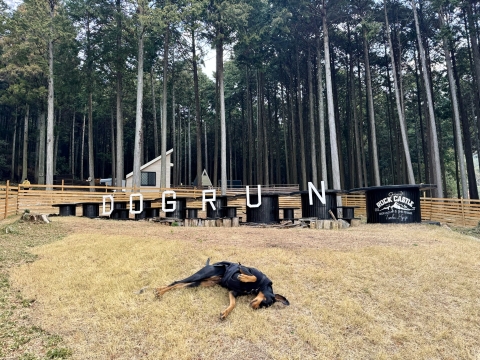 今年初のGRC 今年初のGRC