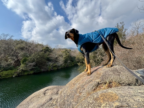 ダイヴィングドームにて ダイヴィングドームにて