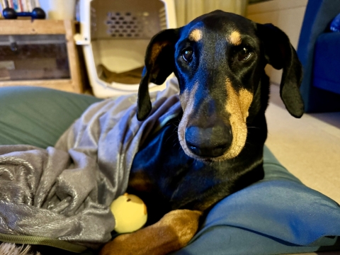 子育て期始まる 子育て期始まる