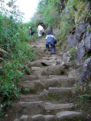 登山道はかなりきつい