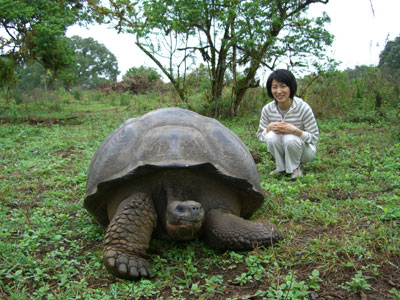 聞きしに勝る巨大ぶりのガラパゴスゾウガメ