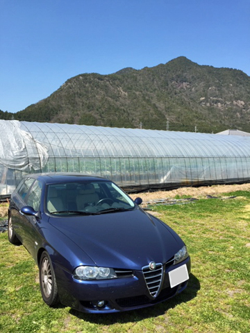 気に入っていたアルファ156SW