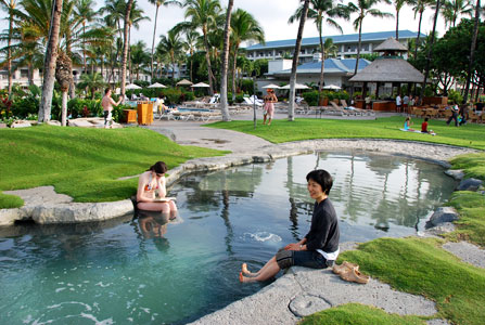 温泉が湧いているらしい