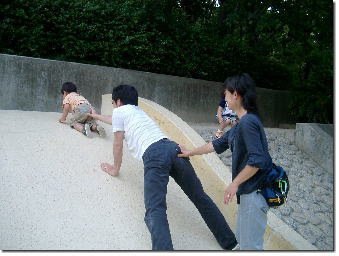 ŗVԋ剤